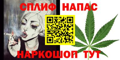 крисы Коммунар