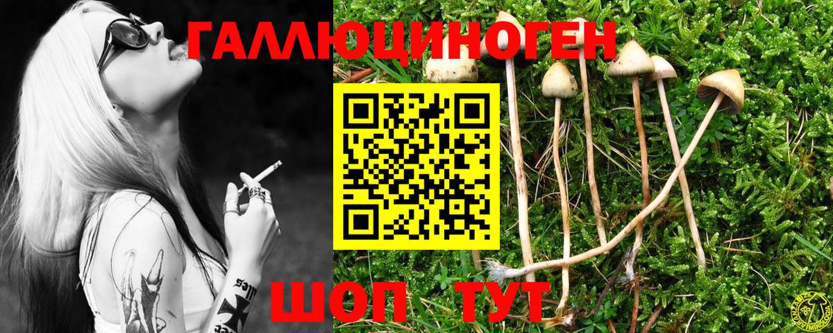 Галлюциногенные грибы мухоморы Скопин